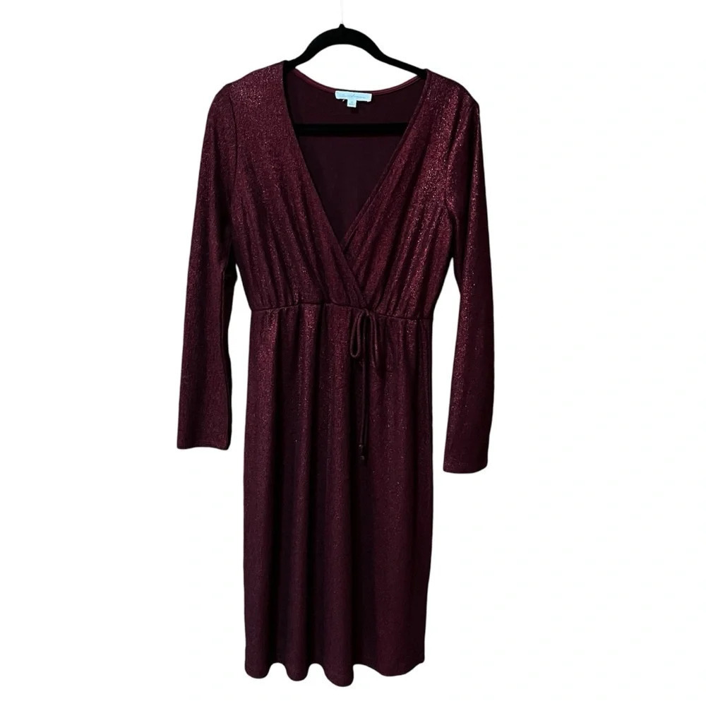Ces Femme Sparkly Long sleeve Red knee length dress Holiday- Size M- NWOT